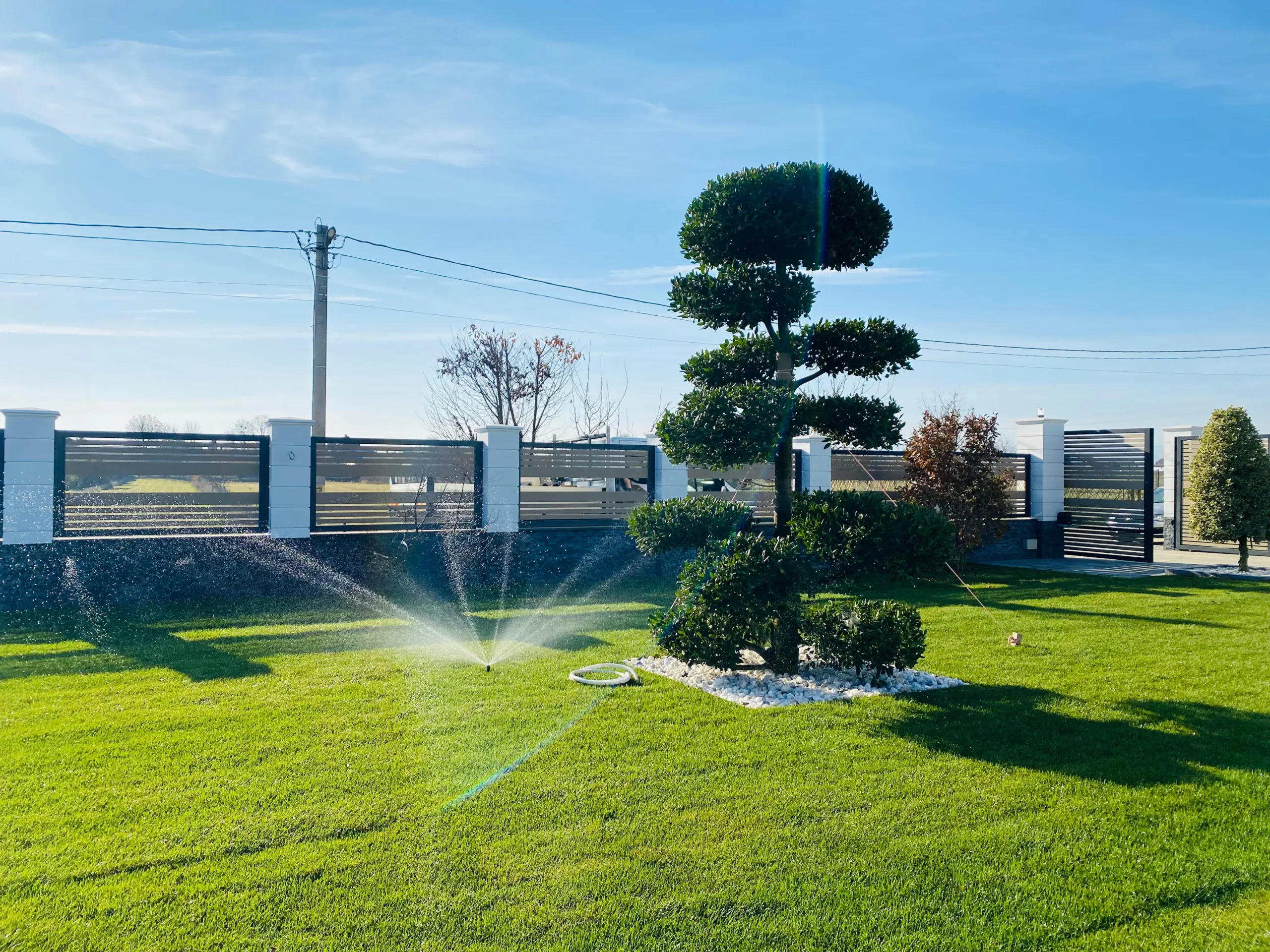 2181e8d5-369b-464b-b865-0197b74a61e6