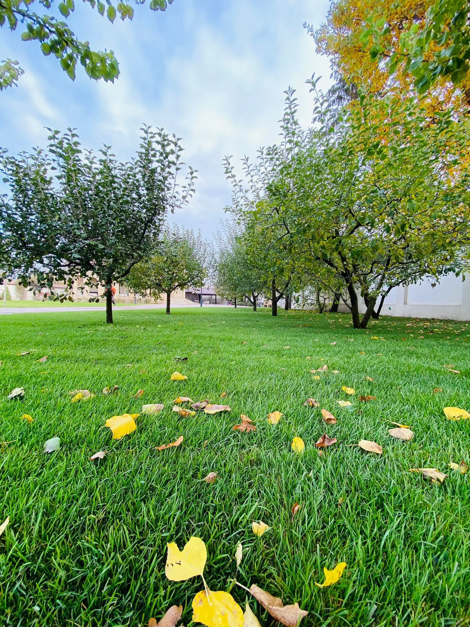 492248981_1275426077921640_6199575621782759154_n