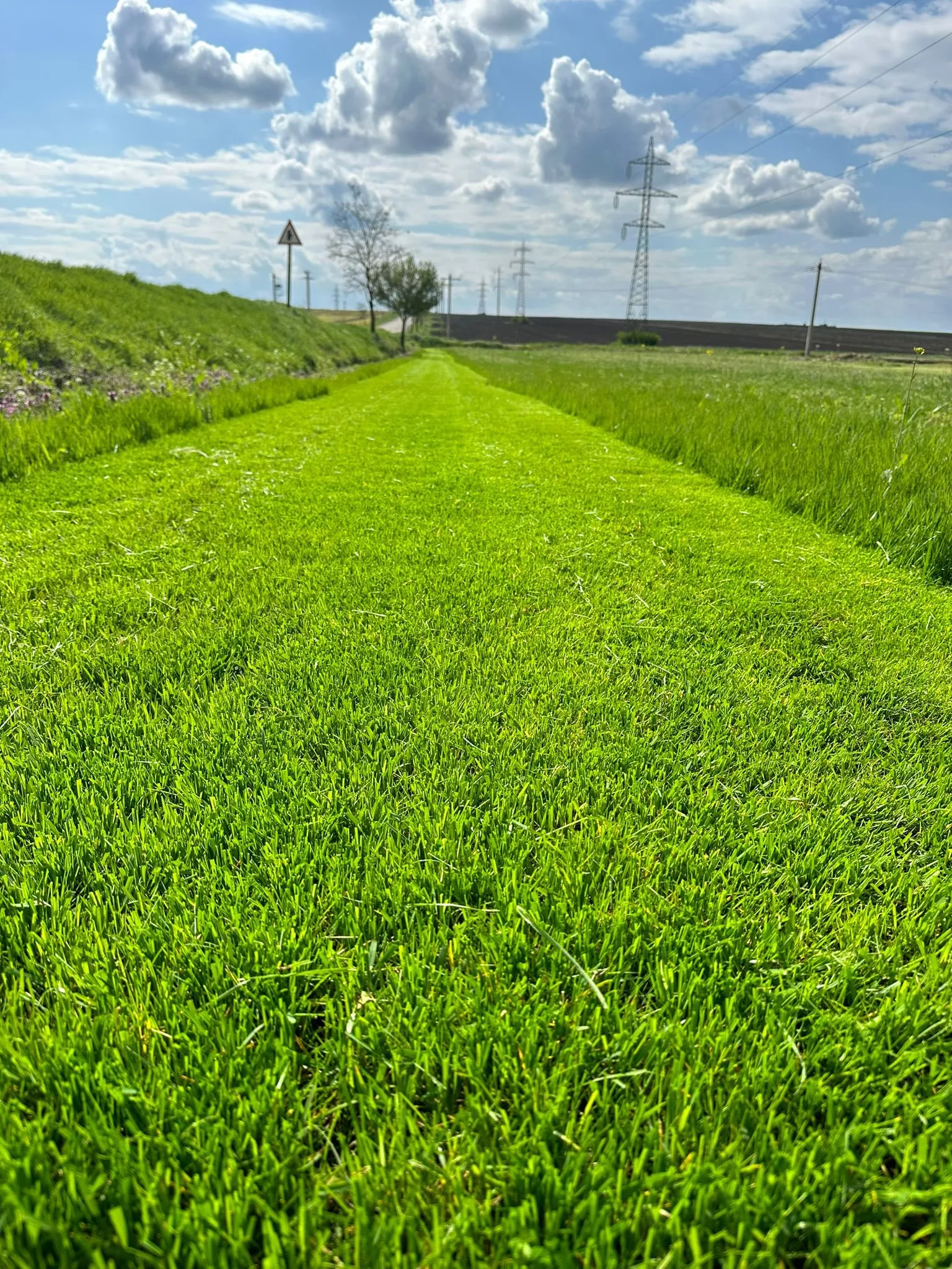 498212674_1300162115448036_7922917412238180313_n